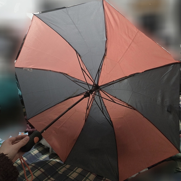 Used Umbrella - Picture 3 of 4